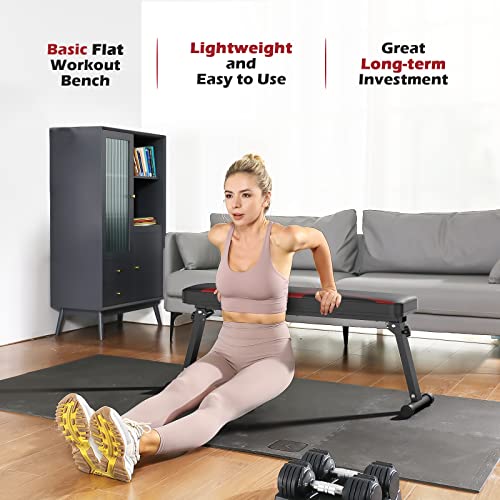 FLYBIRD Foldable Flat Weight Bench, Sturdy and Lightweight