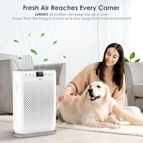 Large Room Air Purifier with HEPA Filter, Aromatherapy
