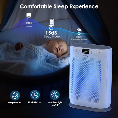 Large Room Air Purifier with HEPA Filter, Aromatherapy