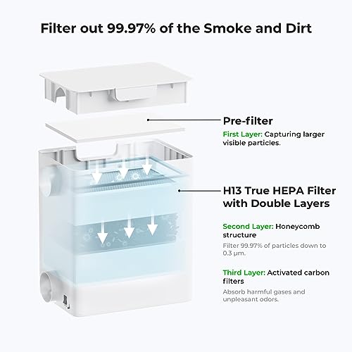 VIP Gift Set: F1 Laser Engraver and Air Purifier