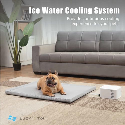 Tom's Lucky Pet Pad: Cooling Water Mat for Pets