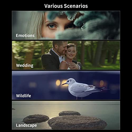 135mm T2.9 Anamorphic Lens for VIP Smart Shopper