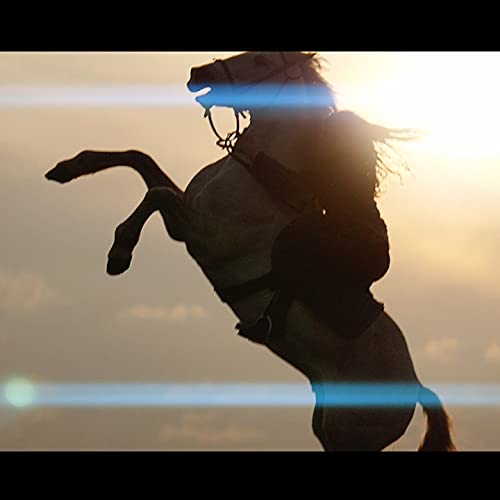 SIRUI Blue Flare Anamorphic Lens for E Mount