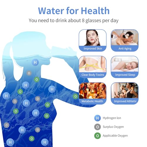 2024 Hydrogen Water Ionizer Portable Bottle Silver