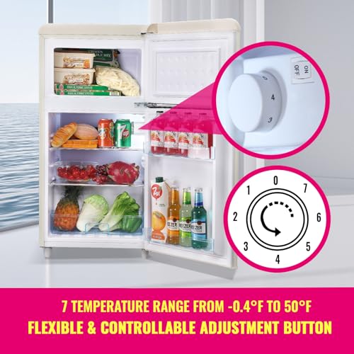 DEMULTER Retro Mini Fridge with Freezer and Handles