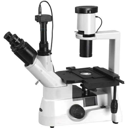 Digital Inverted Trinocular Microscope with 10MP Camera