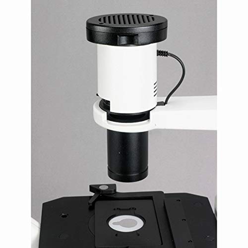 AmScope IN300TB Trinocular Microscope, 40x-800x, Phase-Contrast, 30W Illumination