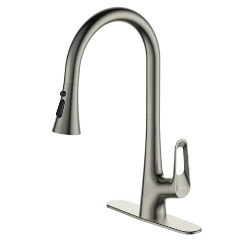 RUVIDA Pull Down Kitchen Faucet with Faucet Plate