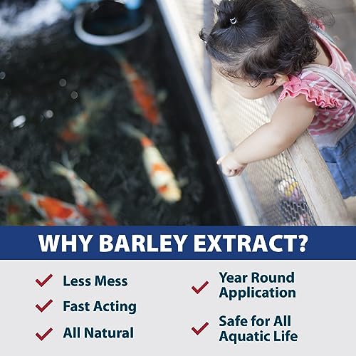 Natural Barley Extract for Clear Pond Water - 1 Gallon