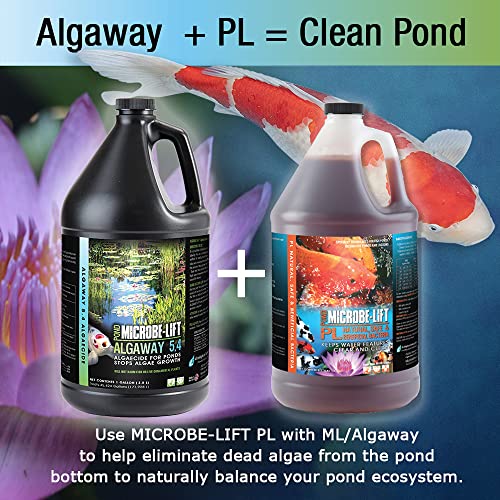 Algaway 5.4 Algae Control Treatment for Ponds/Koi