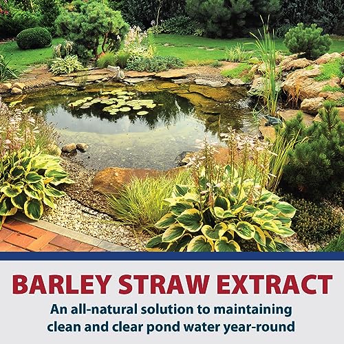 Natural Barley Extract for Clear Pond Water - 1 Gallon