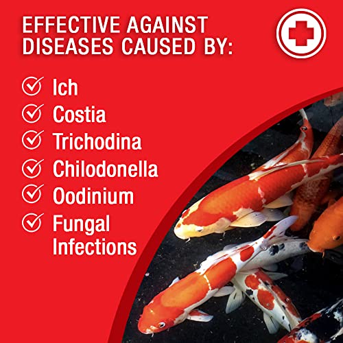 Broad Spectrum Disease Treatment for Ponds and Outdoor