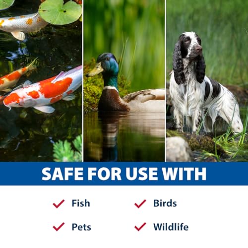 Muck Defense Tablets: Natural Sludge Control for Water Gardens