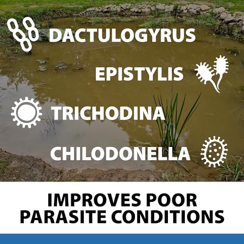 CrystalClear ParaSalt Rock Salt Crystals, Anti Fish Parasite