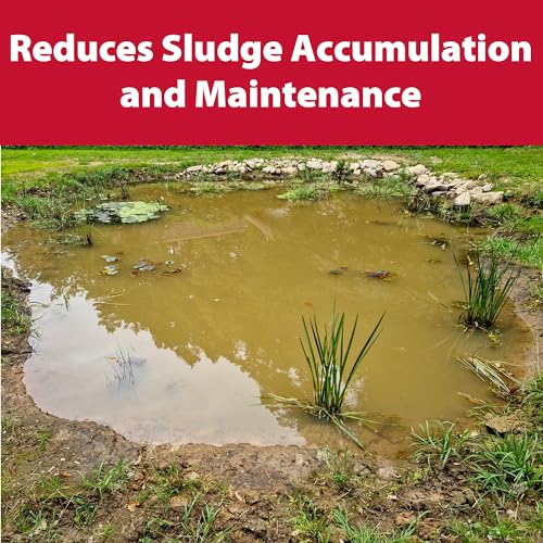 Muck Defense Tablets: Natural Sludge Control for Water Gardens