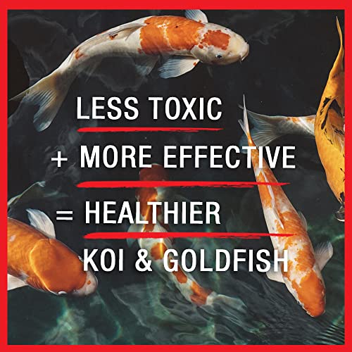 Broad Spectrum Disease Treatment for Ponds and Outdoor