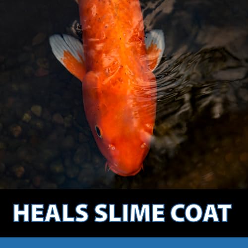 CrystalClear ParaSalt Rock Salt Crystals, Anti Fish Parasite