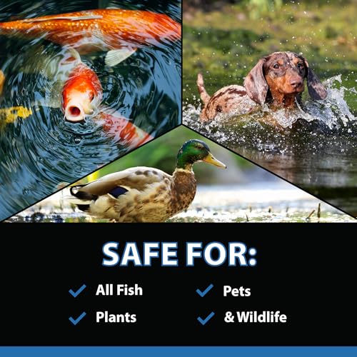 CrystalClear MuckOff Pond Treatment Tablets, Fish & Pet Safe