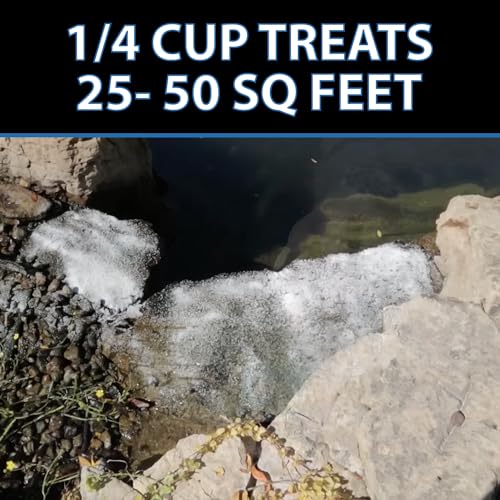 CrystalClear AlgaeOff Pond & Water Garden Cleaner, 25 lbs