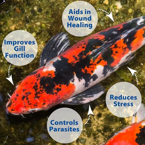 Pond Salt for Koi & Water Garden Health, 20 lbs