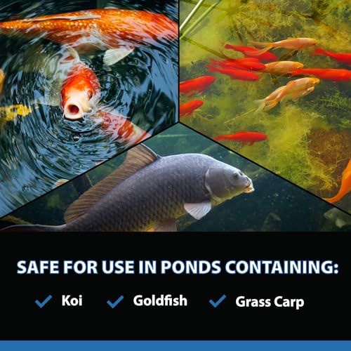 CrystalClear AlgaeOff Pond & Water Garden Cleaner, 25 lbs