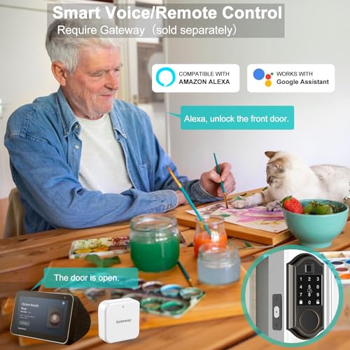 Keyless Front Door Lock Set with APP Control