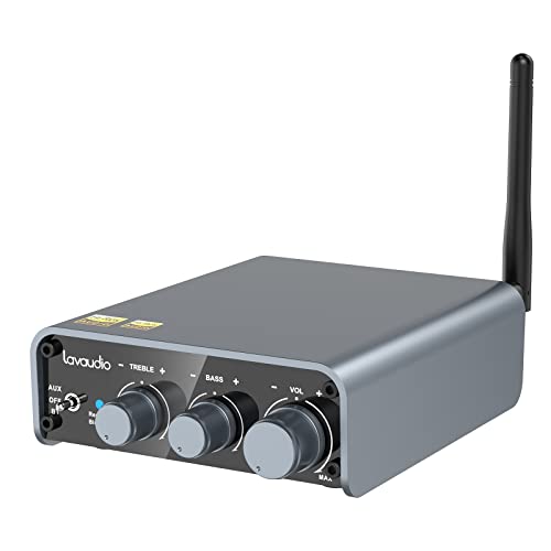 Lavaudio DS300 Bluetooth Amplifier Receiver for VIP Shoppers