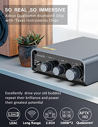 Lavaudio DS300 Bluetooth Amplifier Receiver for VIP Shoppers