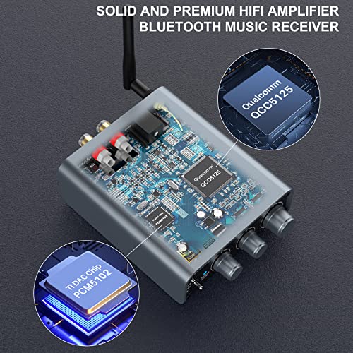 Lavaudio DS300 Bluetooth Amplifier Receiver for VIP Shoppers