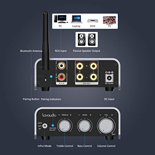 Lavaudio DS300 Bluetooth Amplifier Receiver for VIP Shoppers