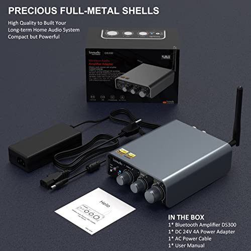 Lavaudio DS300 Bluetooth Amplifier Receiver for VIP Shoppers