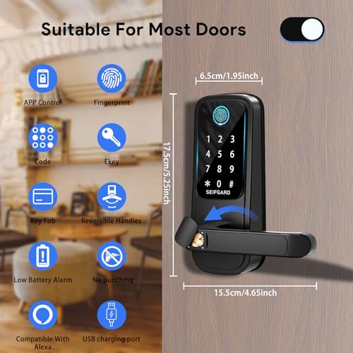 Biometric Smart Lock with Handle and Electronic Keypad