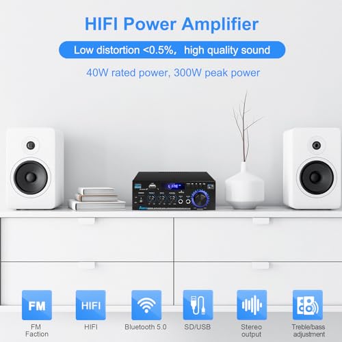 AK45 Bluetooth 5.0 HiFi Stereo Mini Power Amp