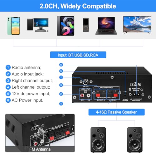 AK45 Bluetooth 5.0 HiFi Stereo Mini Power Amp
