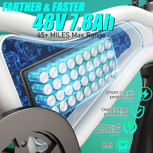 ANCHEER 20MPH Folding Electric Bike, 45 Mile Range, LCD Display