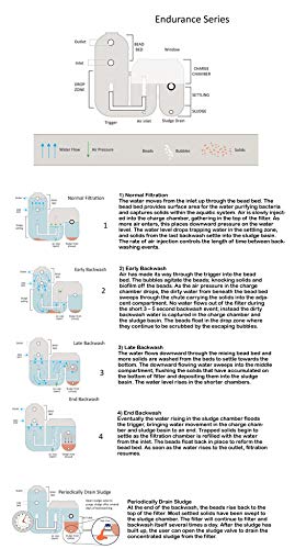 AST Endurance 4000 Bead Filter Skid VIP Bundle