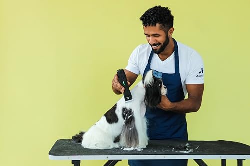 Andis 79170 Pulse Zr II 5-Speed Clipper, Cordless