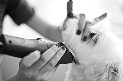 Andis UltraEdge AGC2 Clipper for Professional Animal Grooming