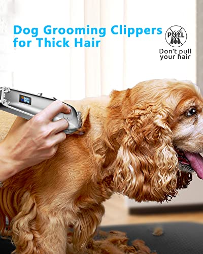 Dog Grooming Clippers for Thick Coats, 2 Speed