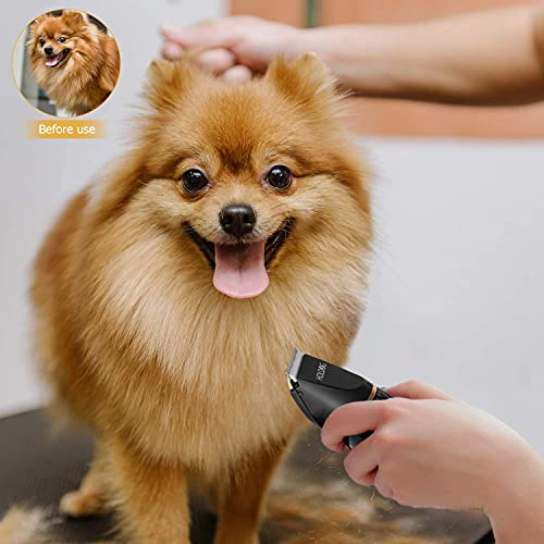 Professional Heavy Duty Dog Clippers for Small & Large Pets