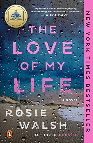 VIP Pick: The Love of My Life (Novel)