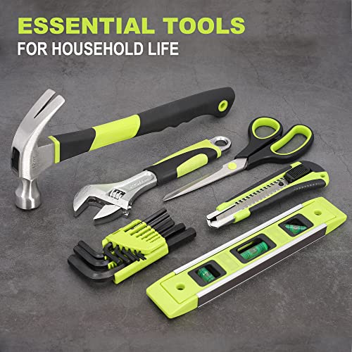 Vibrant 20V Cordless Drill Driver and 232-Piece Tool Set