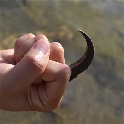 Titanium EDC Gear Eagle Claw Key Chain Tool