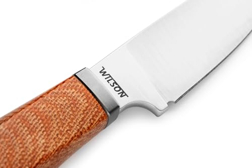 Italian Made LionSTEEL WILLY Compact EDC Fixed Blade Knife