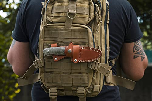 Lion Steel M2M EDC Knife, M390 Steel Blade