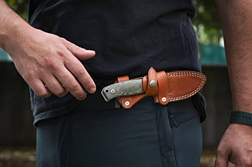 Lion Steel M2M EDC Knife, M390 Steel Blade