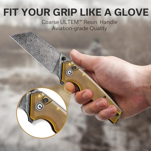 CIVIVI Amirite Damascus Folding Knife, Modified Wharncliffe Blade