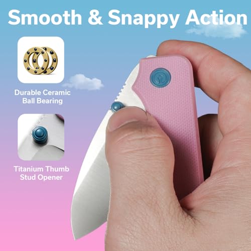 CIVIVI Small Pocket Knife Baby Banter G10 Handle