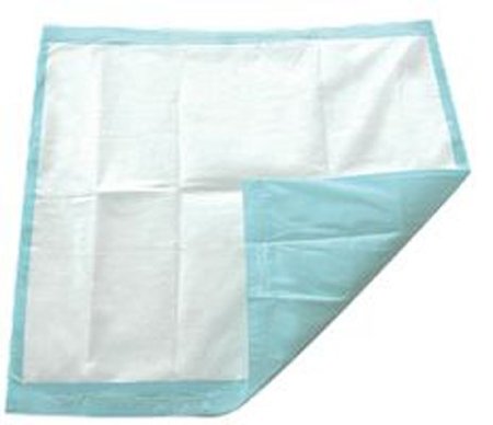 100 TotalDry Underpads for Personal Care - SP113010CS