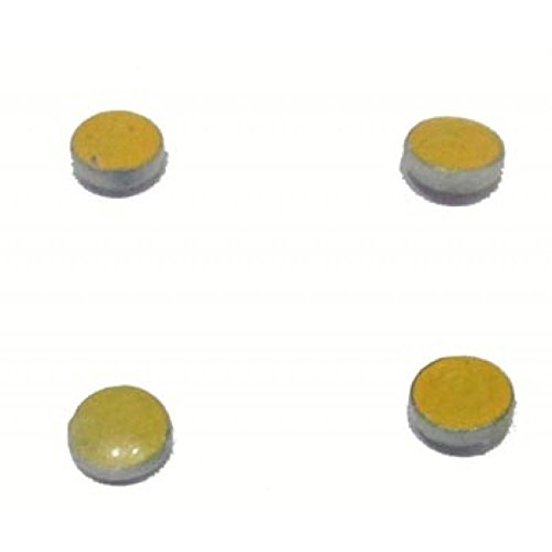 VIP Acupressure Health Care Magnet Sujok Set of 10